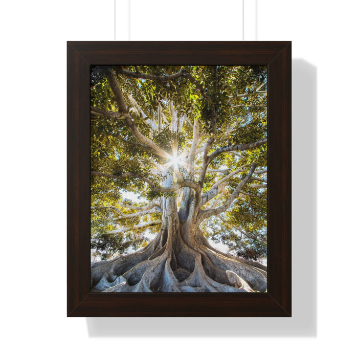Framed Vertical Poster - Finding My Roots
