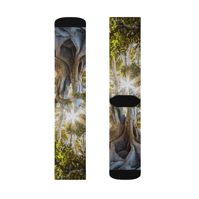 Sublimation Socks - Finding My Roots