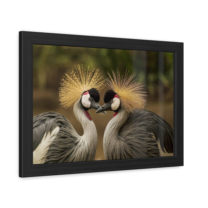Framed Posters - Serenade of Love: Graceful Grey Crowned Cranes