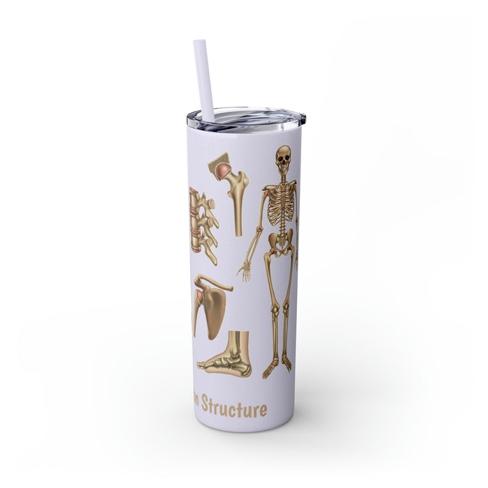 Anatomical Marvel: 20oz Skinny Tumbler with Human Skeleton Structure | Keeps Drinks Hot 12H, Cold 24H | BPA-Free