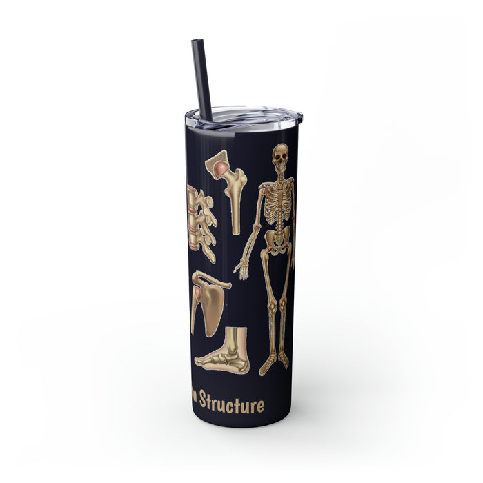 Anatomical Marvel: 20oz Skinny Tumbler with Human Skeleton Structure | Keeps Drinks Hot 12H, Cold 24H | BPA-Free