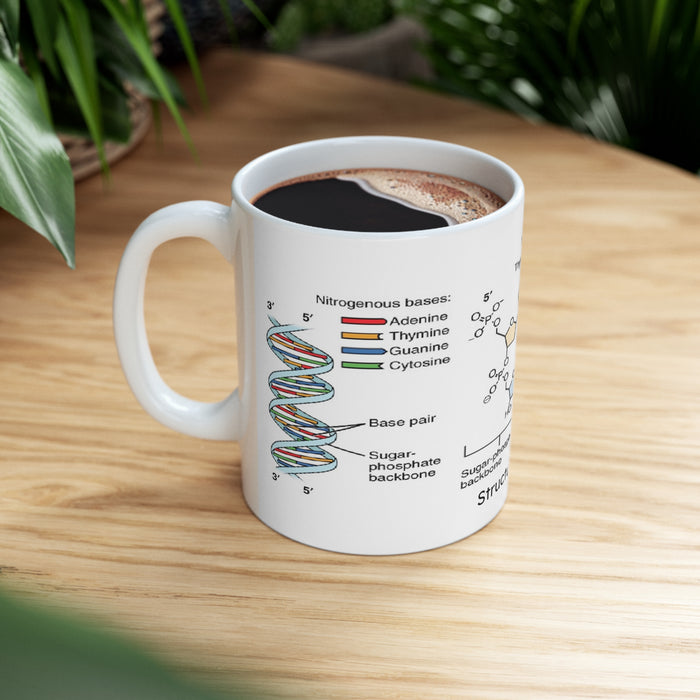 Ceramic Mug 11oz - Unveiling Life's Building Blocks: Structure of DNA