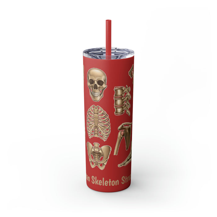 Anatomical Marvel: 20oz Skinny Tumbler with Human Skeleton Structure | Keeps Drinks Hot 12H, Cold 24H | BPA-Free