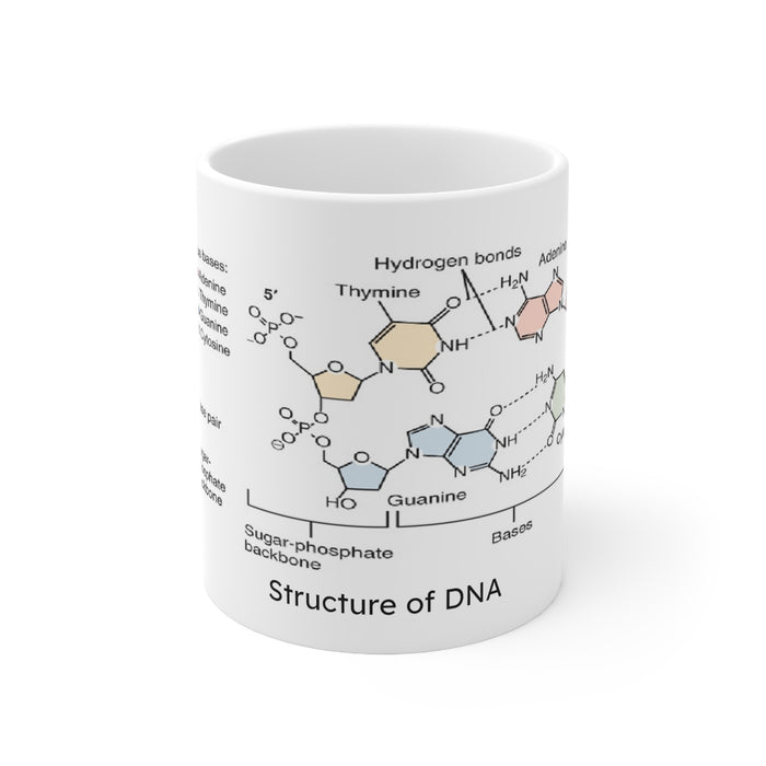 Ceramic Mug 11oz - Unveiling Life's Building Blocks: Structure of DNA