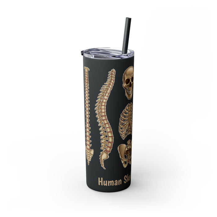 Anatomical Marvel: 20oz Skinny Tumbler with Human Skeleton Structure | Keeps Drinks Hot 12H, Cold 24H | BPA-Free