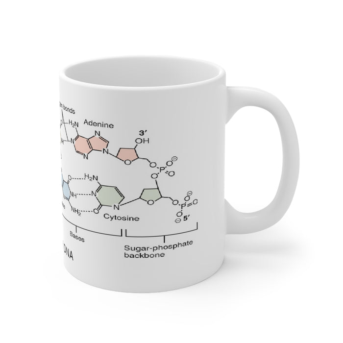 Ceramic Mug 11oz - Unveiling Life's Building Blocks: Structure of DNA
