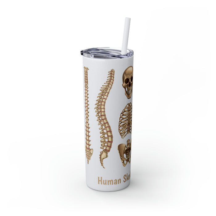 Anatomical Marvel: 20oz Skinny Tumbler with Human Skeleton Structure | Keeps Drinks Hot 12H, Cold 24H | BPA-Free