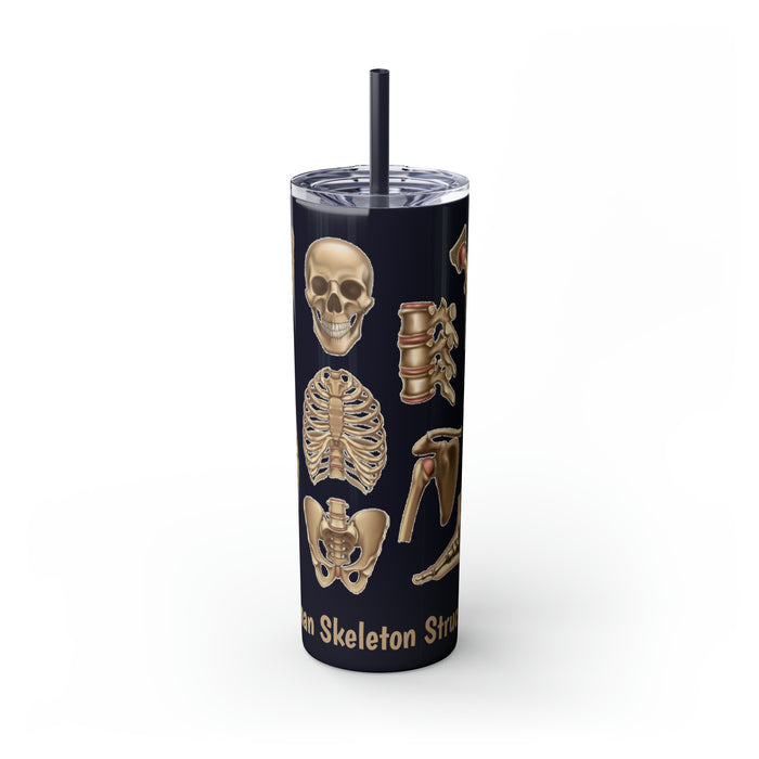 Anatomical Marvel: 20oz Skinny Tumbler with Human Skeleton Structure | Keeps Drinks Hot 12H, Cold 24H | BPA-Free