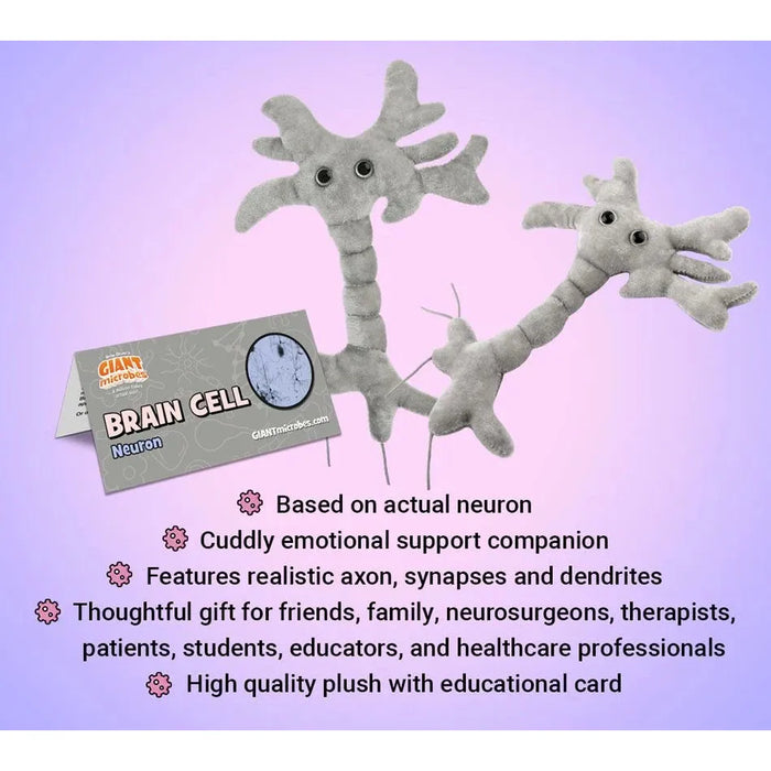 Brain Cell (Neuron) - 10 x 6 x 1.5”