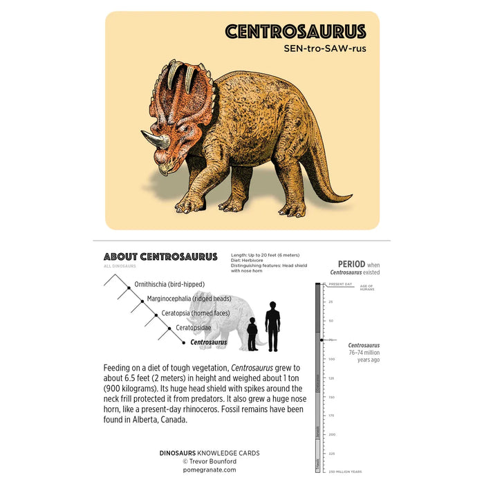 Dinosaurs Knowledge Cards