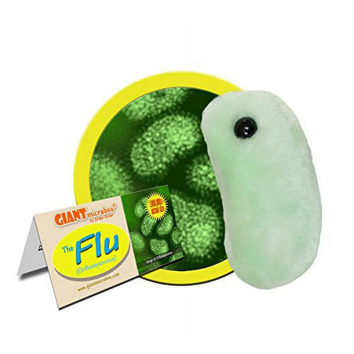 The Flu (Orthomyxovirus)