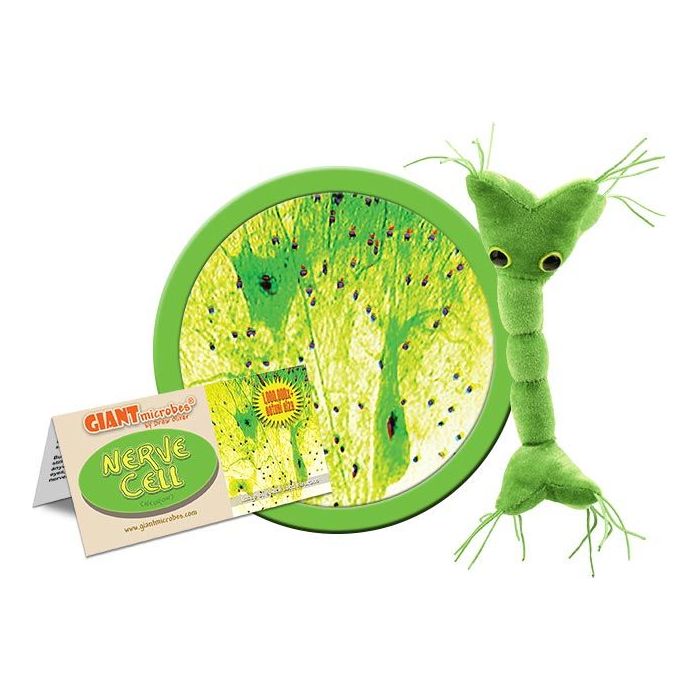 Nerve Cell (Neuron) GIANTmicrobe Plush