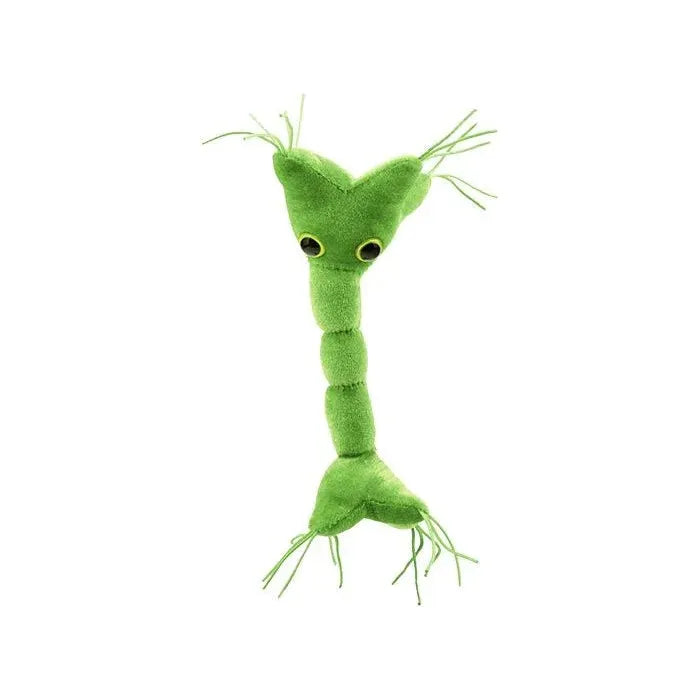 Nerve Cell (Neuron) GIANTmicrobe Plush