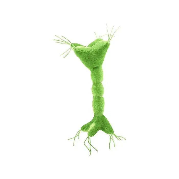 Nerve Cell (Neuron) GIANTmicrobe Plush