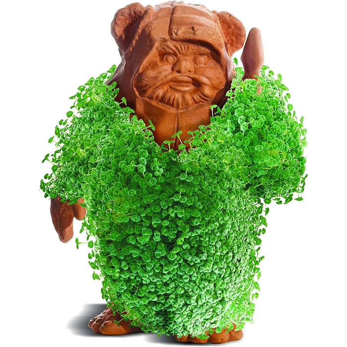 Chia Pet® Star Wars™ Ewok with Seed Pack