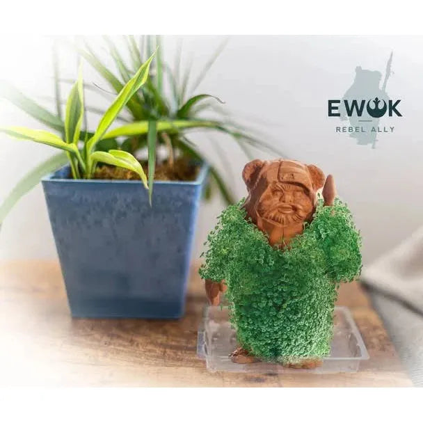 Chia Pet® Star Wars™ Ewok with Seed Pack