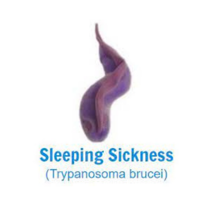 Sleeping Sickness GIANTmicrobe Plush