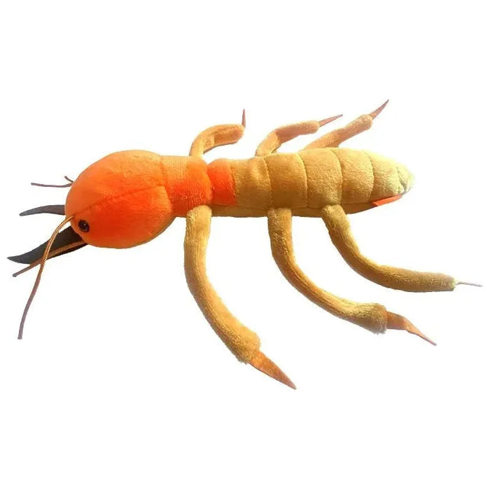 Coptotermes formosanus