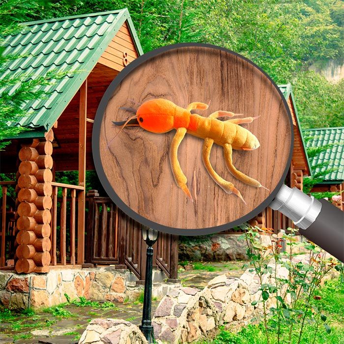 Termite (Coptotermes Formosanus) GIANTmicrobe Plush