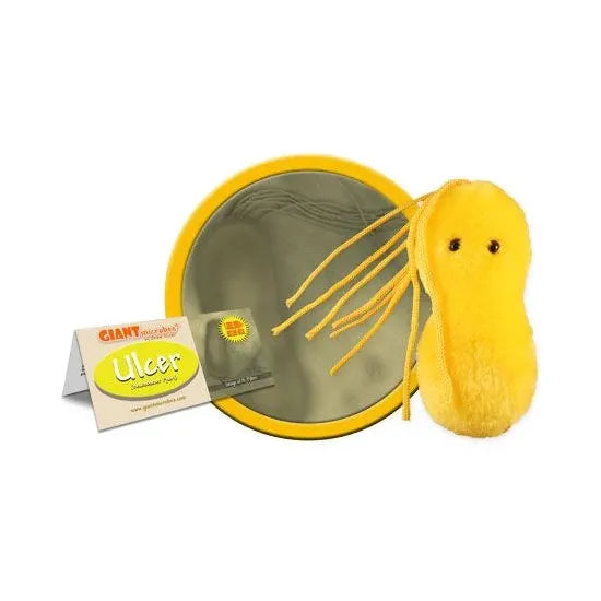 Ulcer (Helicobacter pylori) GIANTmicrobe Plush