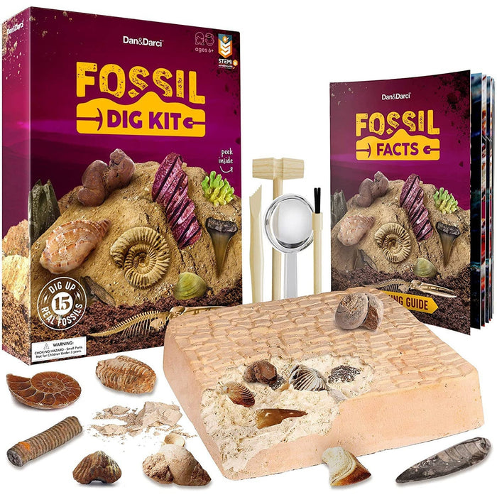 Mega Fossil Dig Kit