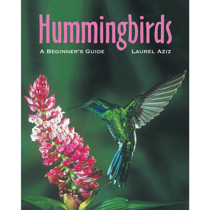 Hummingbirds: A Beginner's Guide