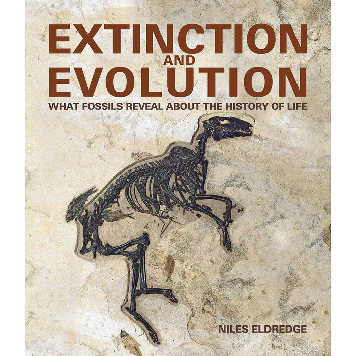 Extinction and Evolution: What Fossils Reveal About the History of Life