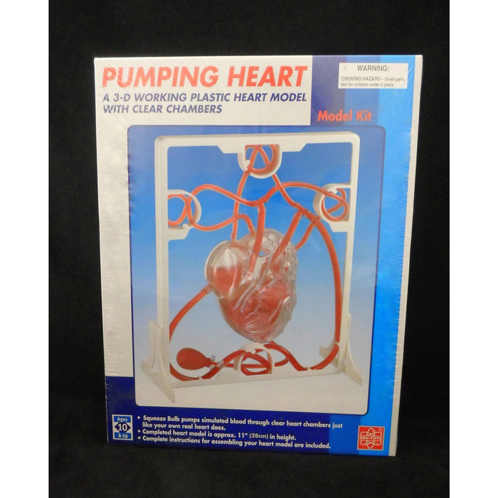 Heart Pumping Model Kit