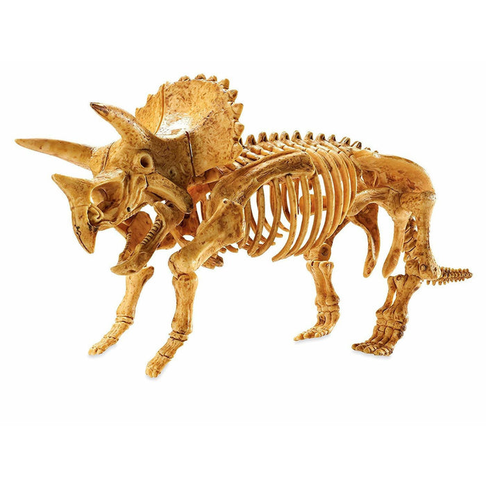 Dig It Up! 3D Triceratops Skeleton