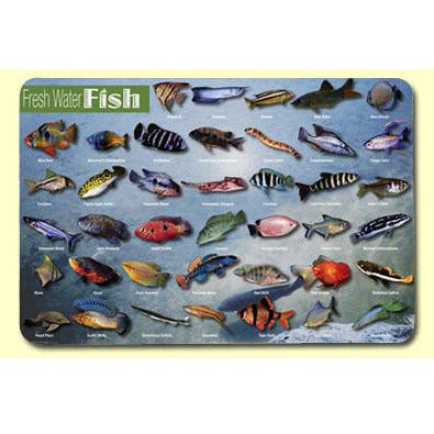 Freshwater Fish Placemat