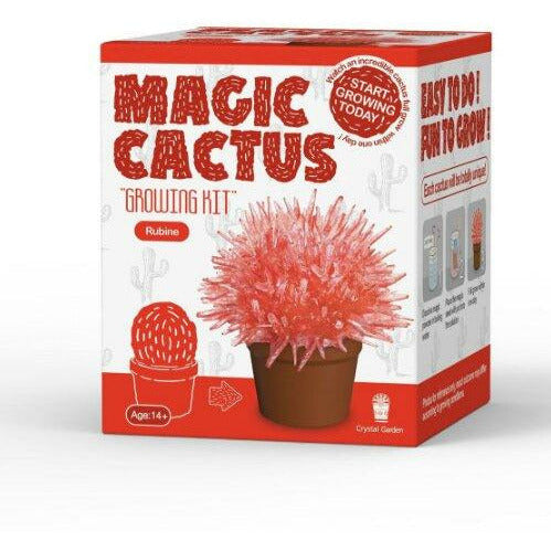 Magic Cactus Crystal Growing Kit