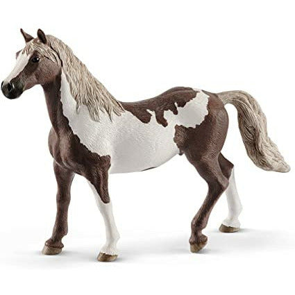 Paint horse gelding