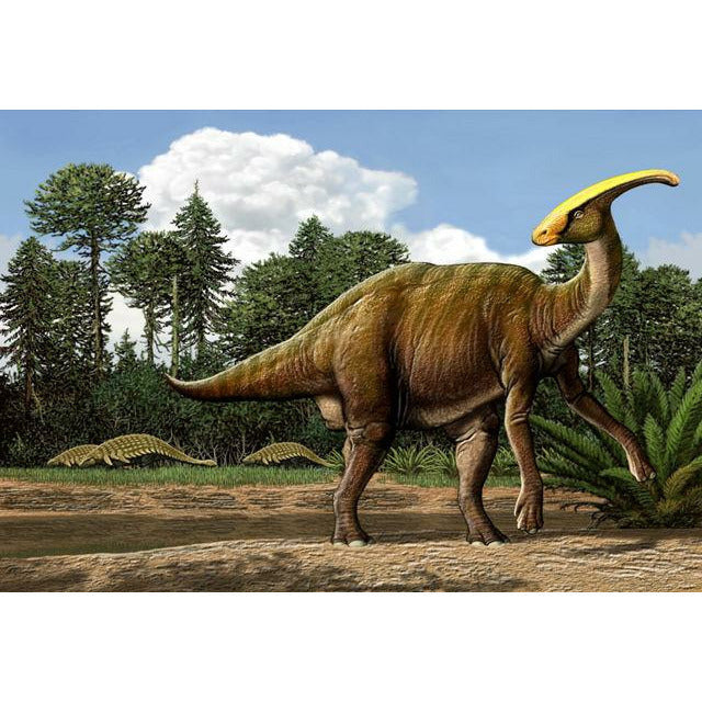 Discover Dinosaurs Parasaurlolphus