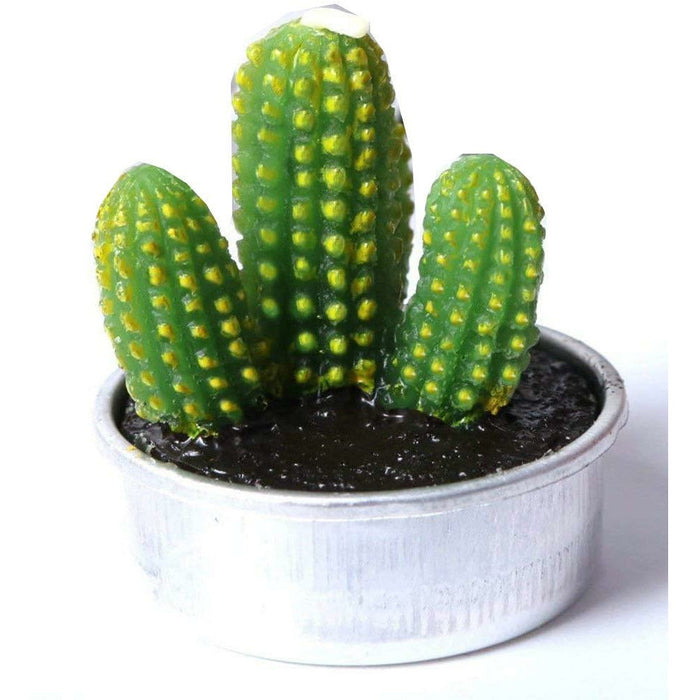 cactus candle