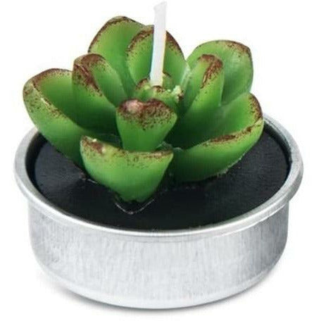 Cactus Candle