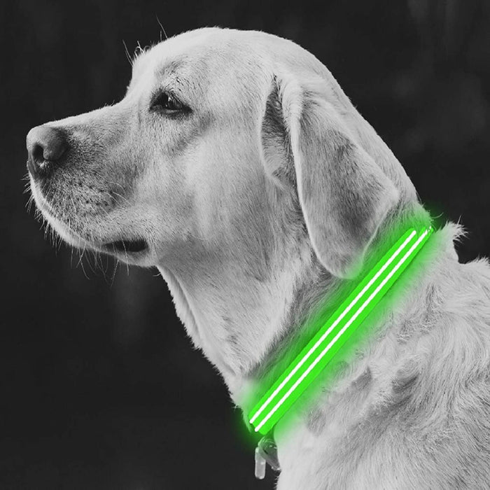 4id LED Light Up Dog Collar