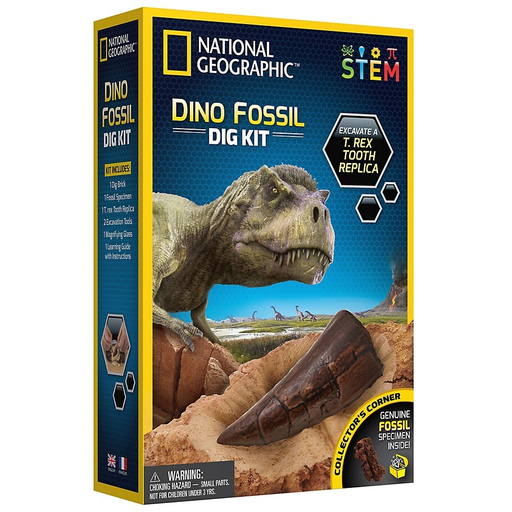 national geographic dino fossil dig kit