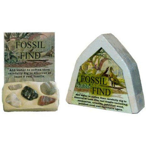 Fossil Find