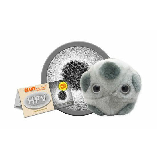 HPV (Human papillomavirus)
