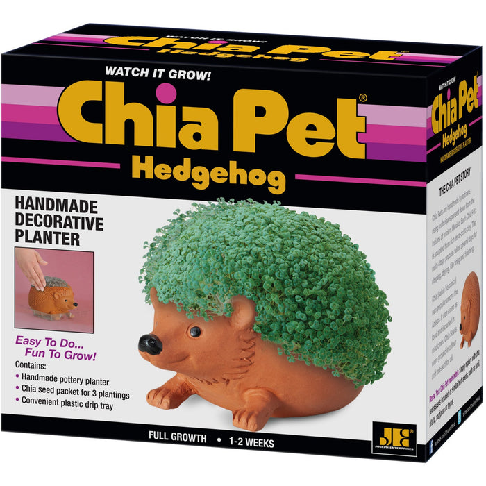 Chia Pet® Hedgehog