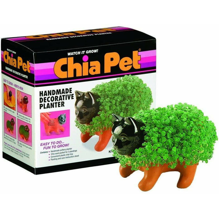 Chia Pet® Kitten Decorative Planter