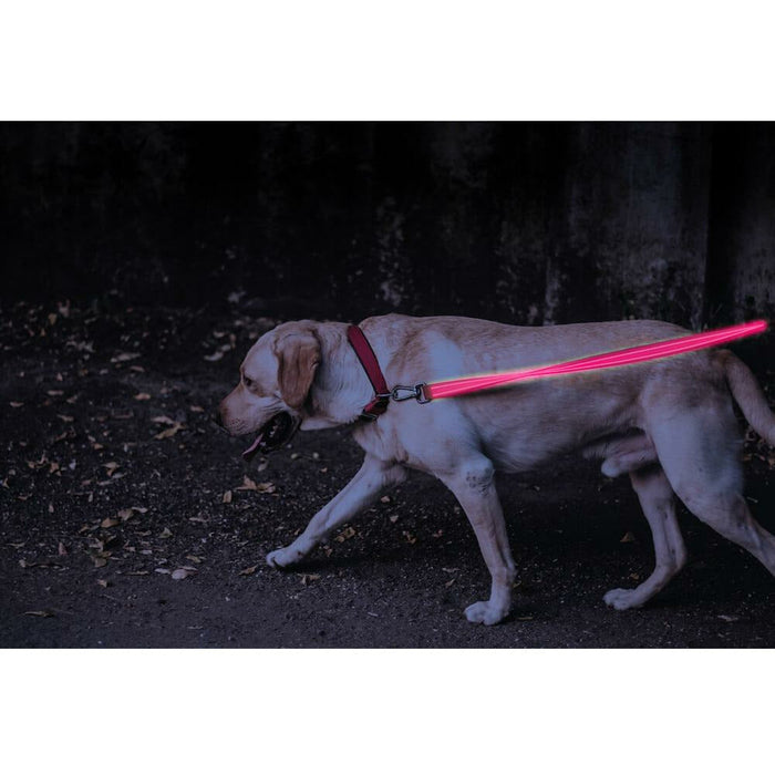 4ID | Ultra Bright, Rechargeable LED Lite Up Dog leash