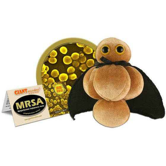 MRSA (Methicillin-Resistant Staphylococcus Aureus)
