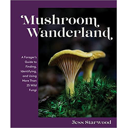 Mushroom Wanderland
