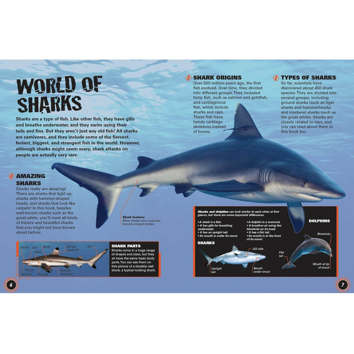 Sharks: Predators of the Sea